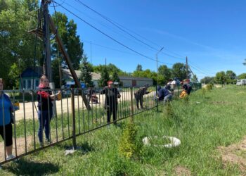 Когда забота становится традицией