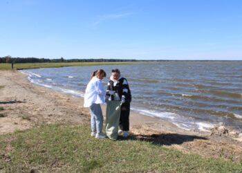 Чистое озеро — общее дело