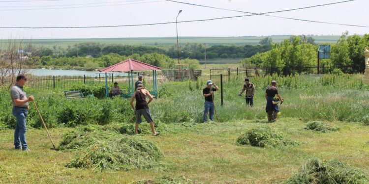 Когда чисто — не только вокруг, но и внутри