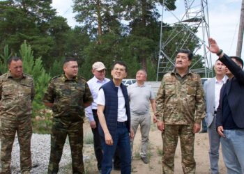 Технологии на страже леса:  в Бородулихинском районе запущена система раннего обнаружения пожаров