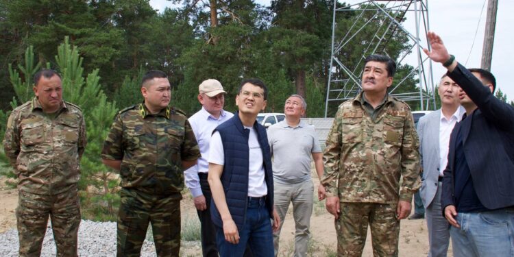 Технологии на страже леса:  в Бородулихинском районе запущена система раннего обнаружения пожаров