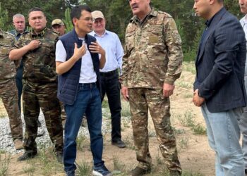 Технологии на страже леса:  в Бородулихинском районе запущена система раннего обнаружения пожаров