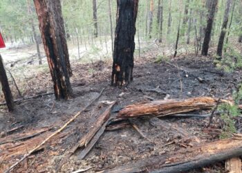 Уважаемые жители и гости Бородулихинского района!