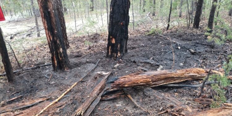 Уважаемые жители и гости Бородулихинского района!