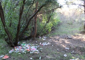 В Бородулихинском районе прошёл общеобластной субботник