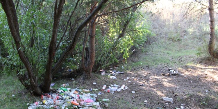 В Бородулихинском районе прошёл общеобластной субботник