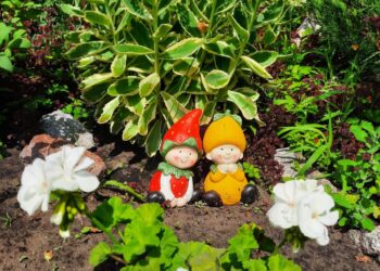 В Бородулихинском сельском округе выбрали лучший двор