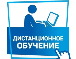 Школы Бородулихинского района временно переходят  на дистанционное обучение