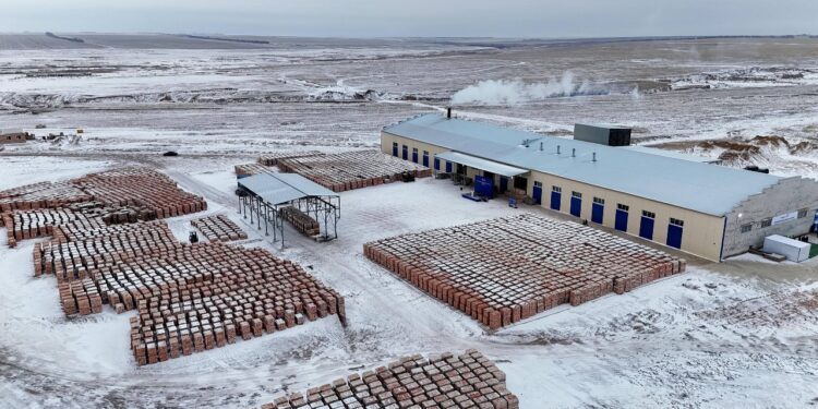 В Новопокровке открылся  кирпичный завод