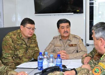 Когда лес позвал на помощь