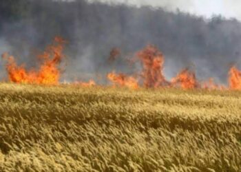 ЕГІН ЖИНАУ НАУҚАНЫНДАҒЫ ҚАУІПСІЗДІК ЕРЕЖЕЛЕРІ