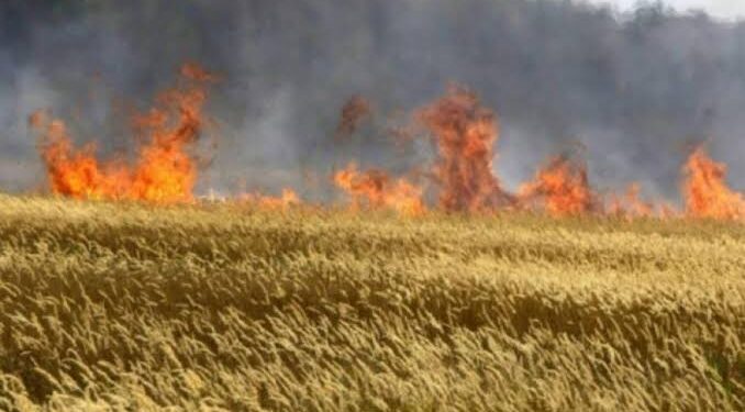 ЕГІН ЖИНАУ НАУҚАНЫНДАҒЫ ҚАУІПСІЗДІК ЕРЕЖЕЛЕРІ